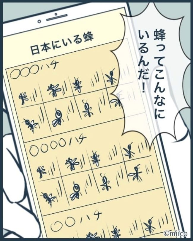 となりの庭に泣かされた／みぃ子