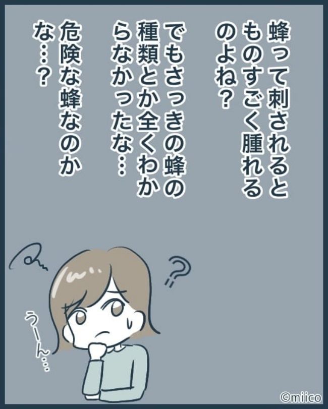 となりの庭に泣かされた／みぃ子