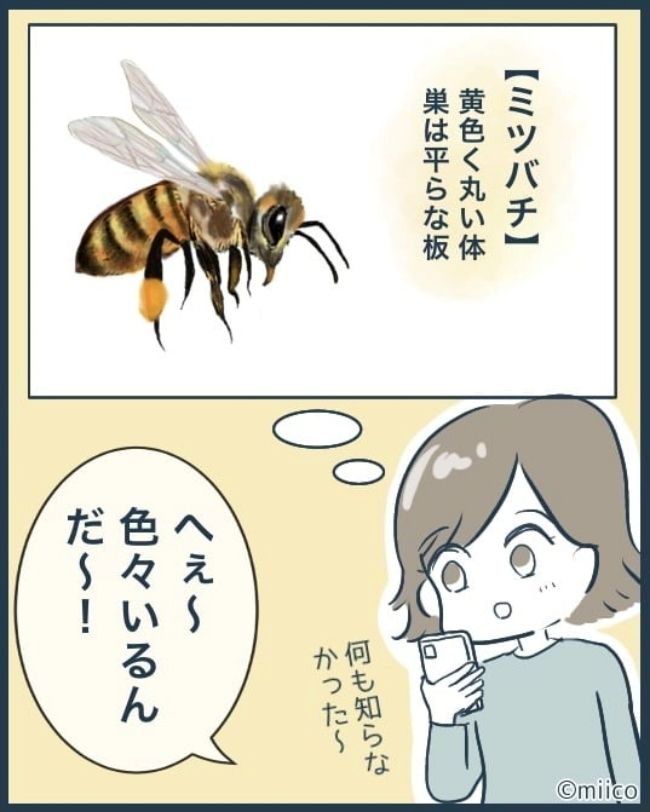 となりの庭に泣かされた／みぃ子