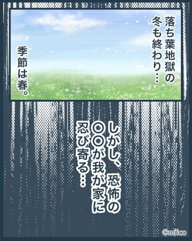となりの庭に泣かされた／みぃ子