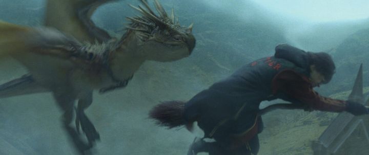 ハンガリー・ホーンテール