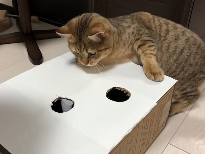 真剣すぎる表情に注目！