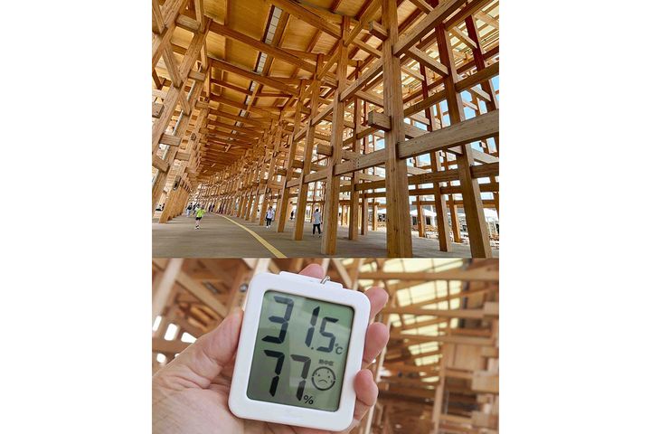 大屋根リング下は、木陰のよう。日差しが避けられ、風が通り抜けると、涼やか！