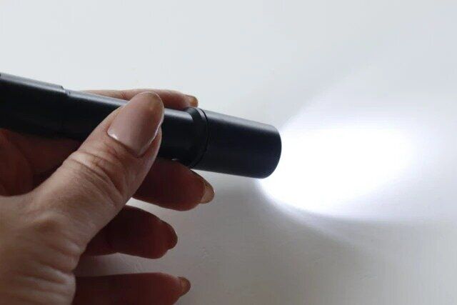 ダイソー ホイッスルライト