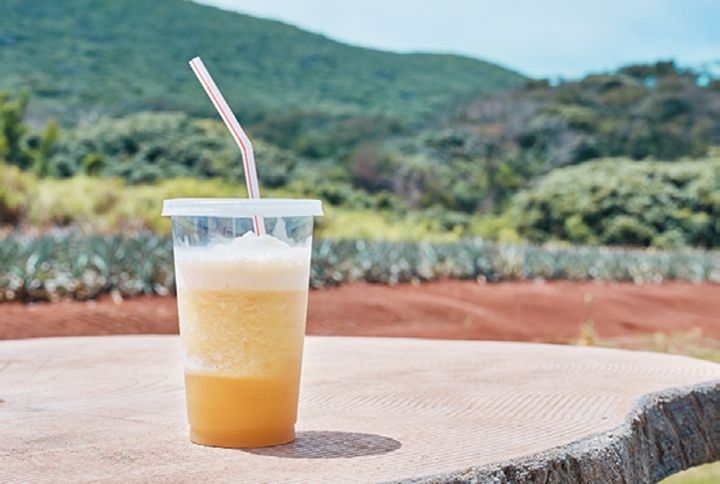 赤嶺パイン園の生パインジュース