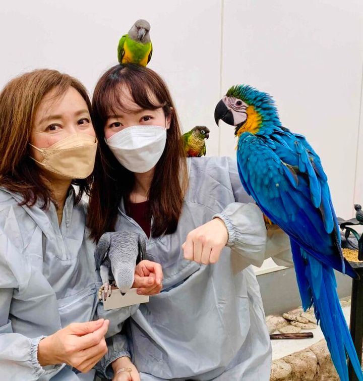 鳥のいるカフェ浅草