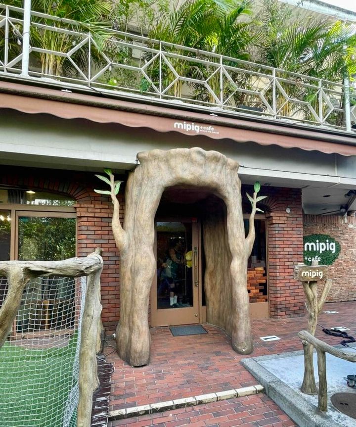 mipig cafe原宿店
