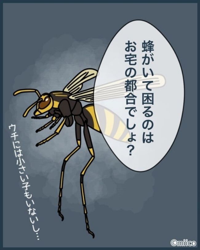 となりの庭に泣かされた／みぃ子