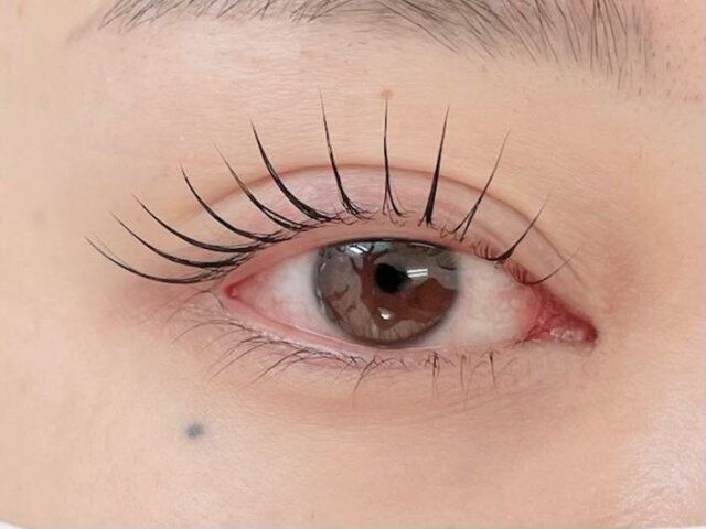 まつ毛は自然な立ち上がり