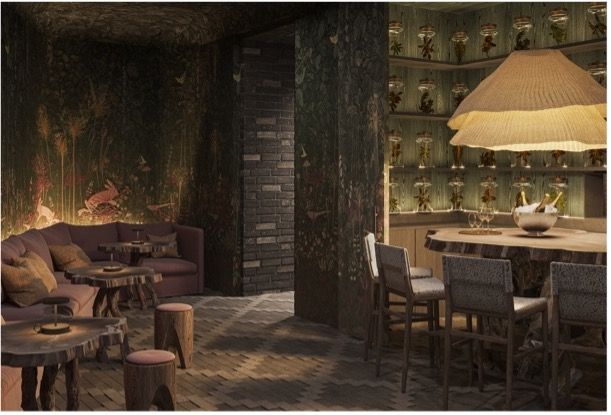 モダン地中海料理 セフィーノ