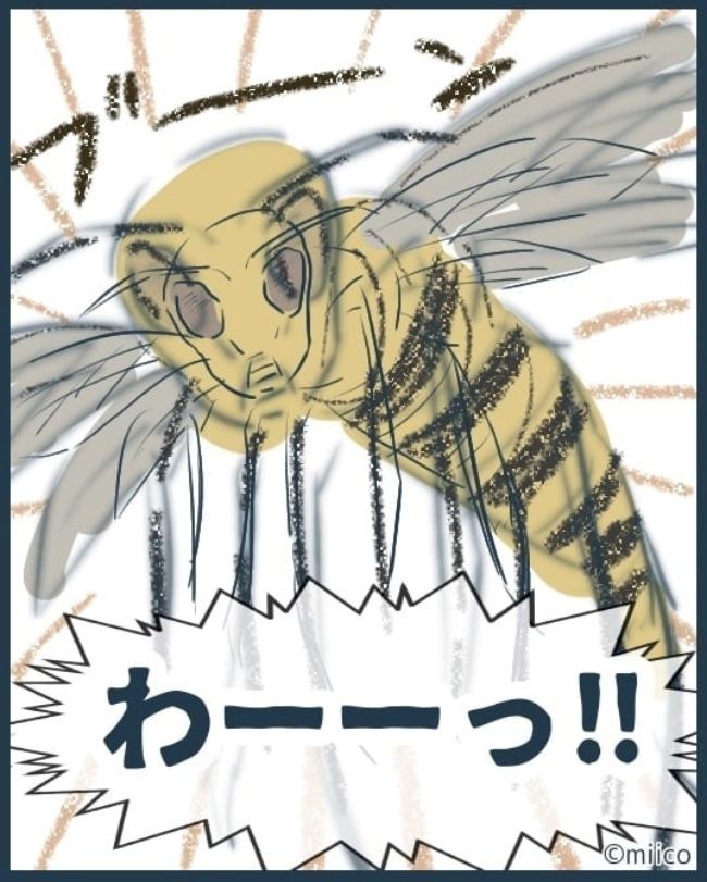 となりの庭に泣かされた／みぃ子