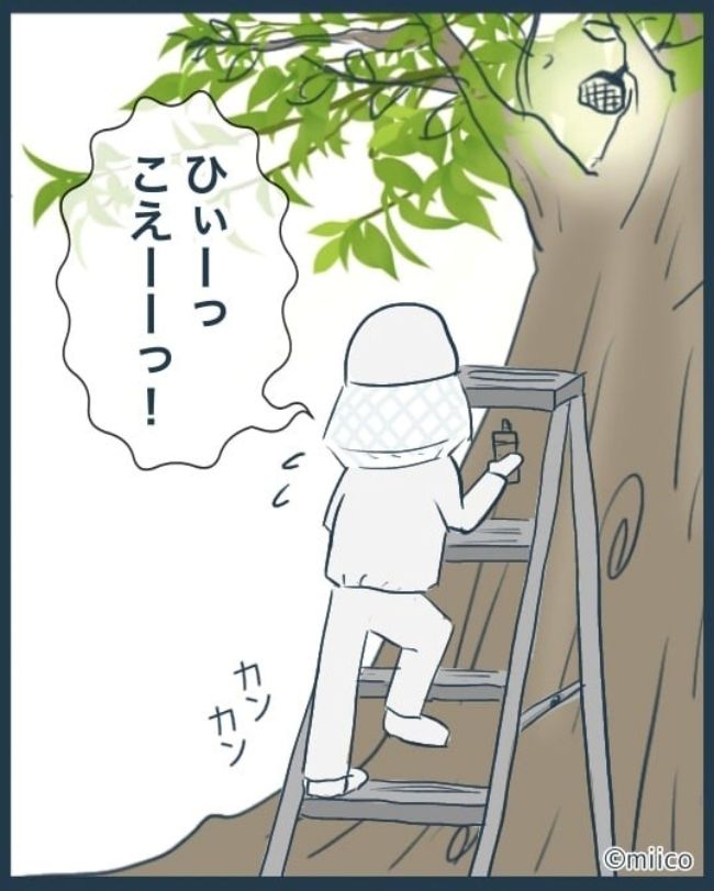 となりの庭に泣かされた／みぃ子