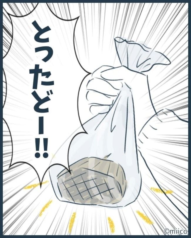 となりの庭に泣かされた／みぃ子