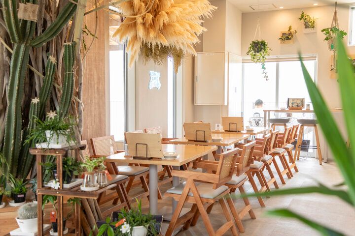 植物に囲まれてのんびりとくつろぐ海辺のカフェ♪「Windera Cafe 鵠沼海岸店」