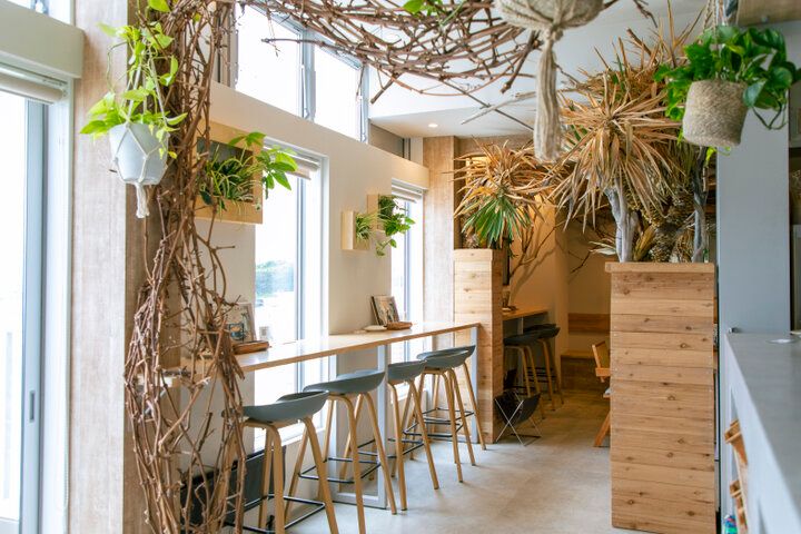 植物に囲まれてのんびりとくつろぐ海辺のカフェ♪「Windera Cafe 鵠沼海岸店」