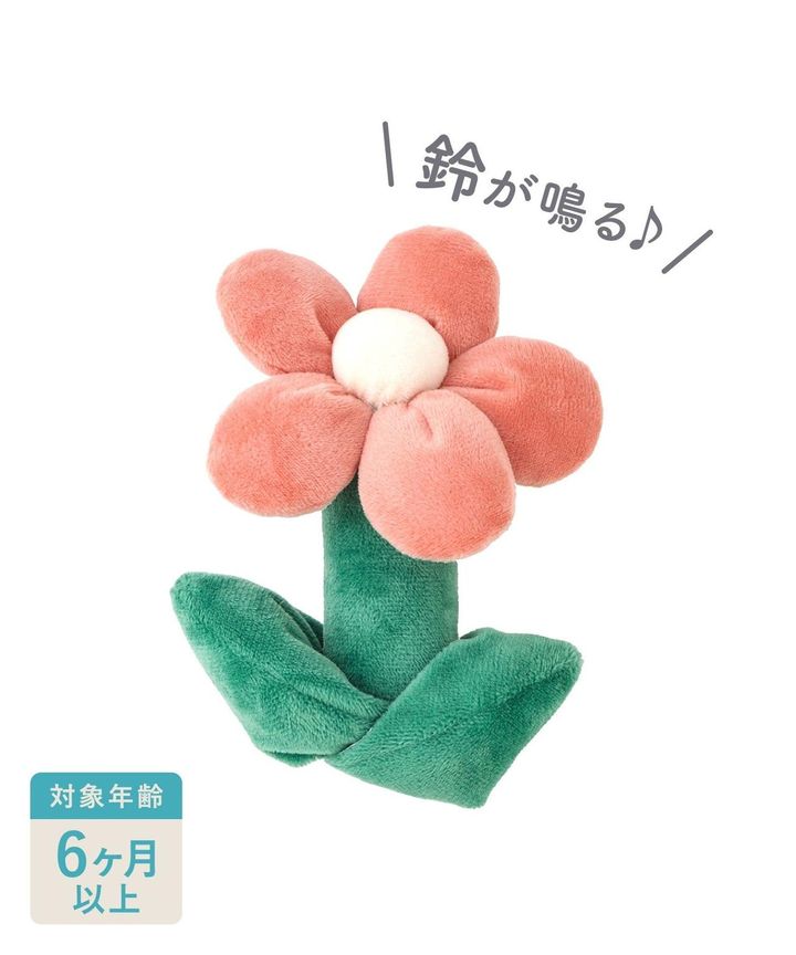 画像2: 出典：3COINS