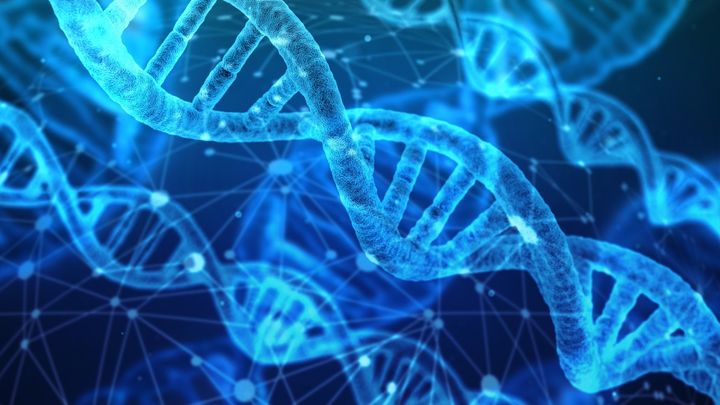 母親の遺伝子に隠された「男児優勢・女児優先」スイッチとは