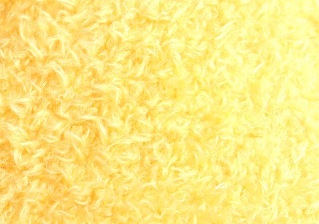 ふわふわの毛並み