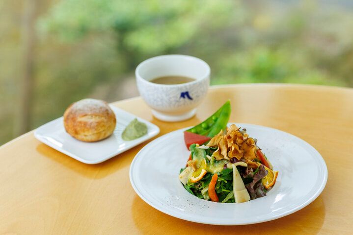 湖南アルプスの森に囲まれた「MIHO MUSEUM」で、アートと自然を満喫