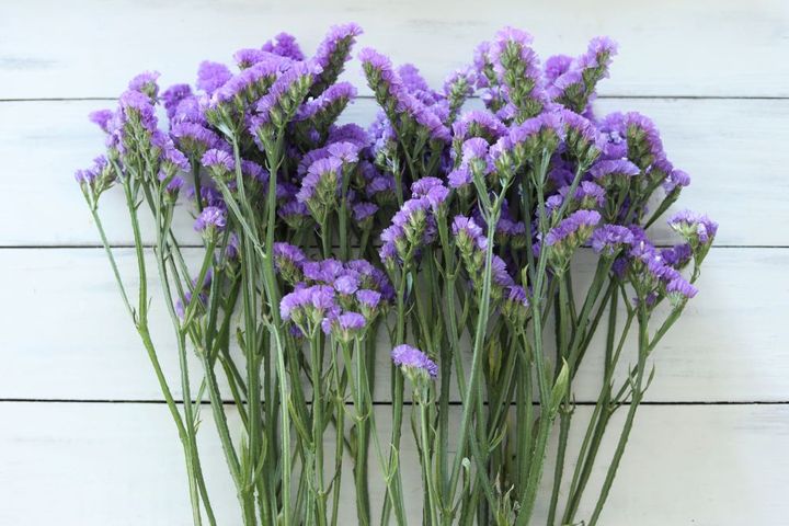 スターチス ブルーファンタジー