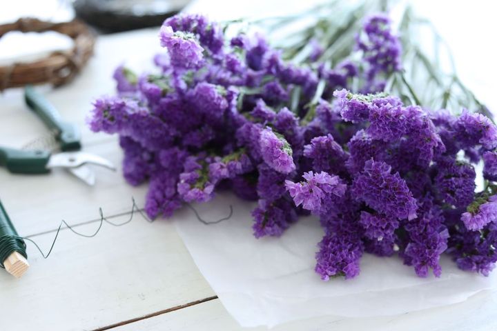 スターチスのリース