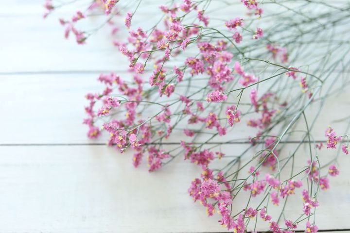 ハイブリッドスターチス