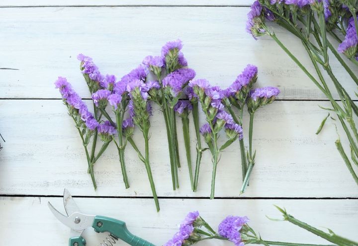 スターチスをカット