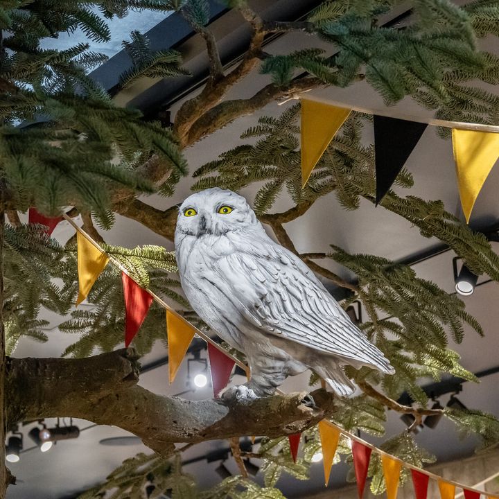 ハリー・ポッター ショップ 原宿5