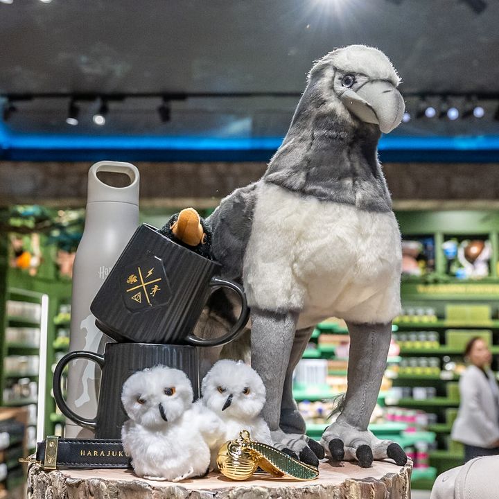 ハリー・ポッター ショップ 原宿4