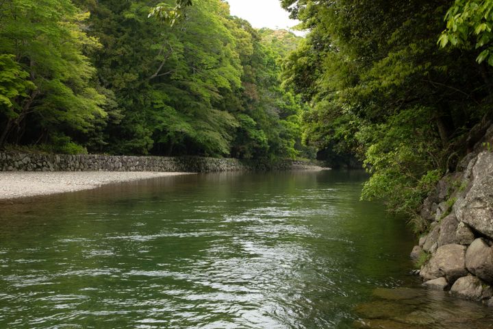 五十鈴川の様子。水は透き通る美しさでした。