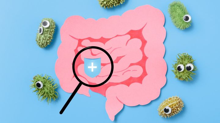 頑固な腸内細菌を変える新しいアイデアとは