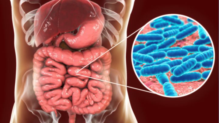 薬に頼らない新・腸活法の可能性と課題