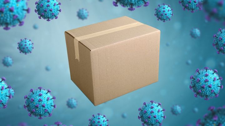 【筑波大】ウイルスを世界各地に不完全に梱包発送したことが一つの可能性――オミクロン株BA.2.86の拡散