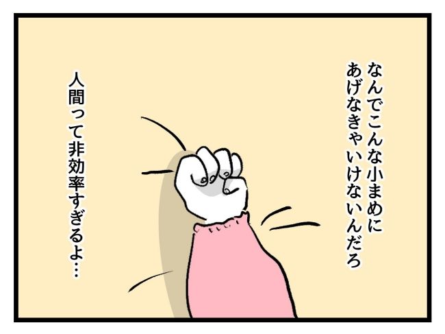 アンタなんて大キライ／神谷もち