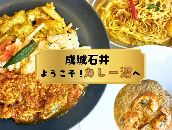 成城石井「ようこそ！カレー沼へ」