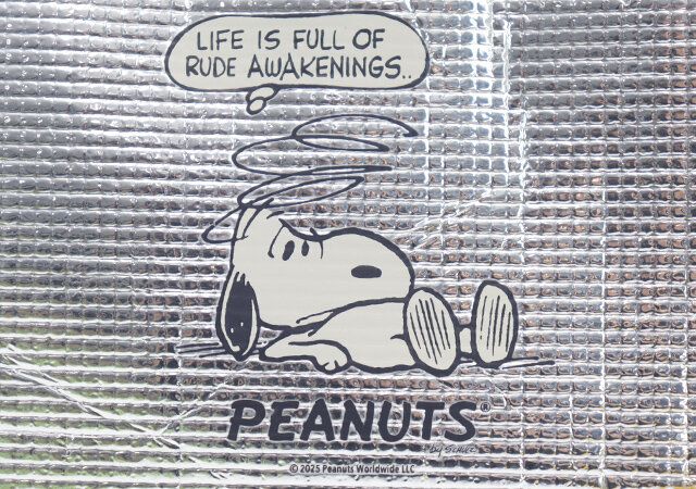 スヌーピー保冷ランチトート75周年記念アート