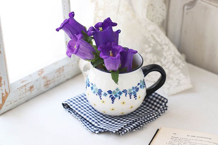 カンパニュラを飾る