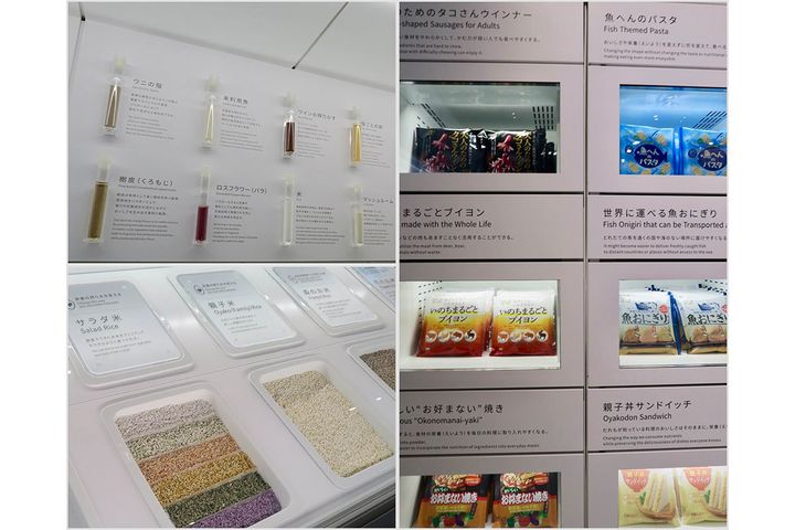 冷凍食品が便利さを超えて、食品ロスや資源不足、飢餓を救う可能性を秘めていることがリアルに感じられる「進化する冷凍食」の展示。