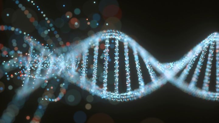 DNAに潜むウイルスが「人間らしさ」を作っていた