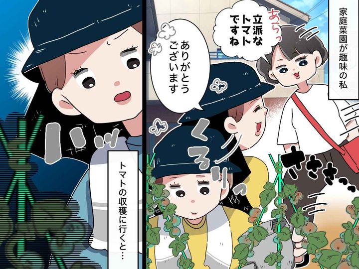 画像: ＜まさか＞「立派なトマトですね！」家庭菜園の野菜を褒められた数日後 → 庭で見た『信じられない光景』