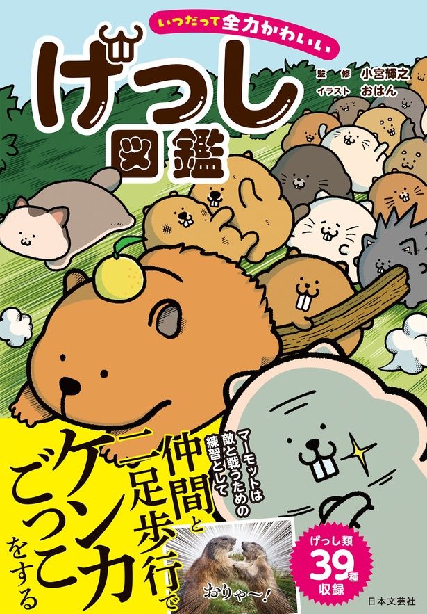 ピンクモモンガ（ムササビ）日本人作家様作品　アーティストベア ピンクモモンガ（ムササビ）日本人作家様作品 アーティストベア
