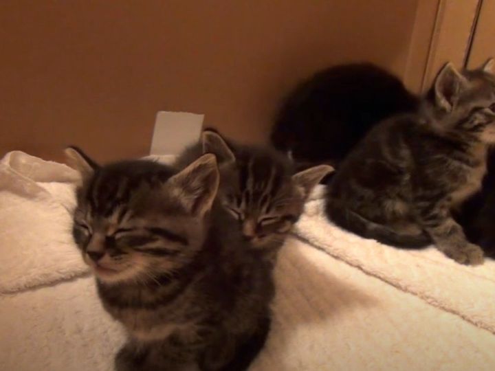 今にも寝ちゃいそう…