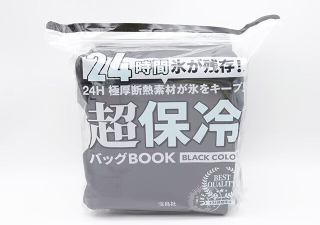 宝島社のムックの超保冷バッグ付録1