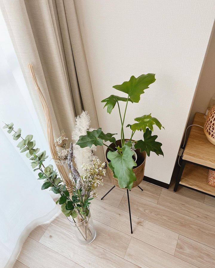 20㎡台のミニマムな空間で叶える、シンプルモダンなインテリア3選