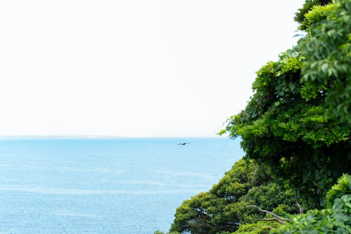 江ノ島の絶景テラスでひとやすみ♪海風が心地よいリゾートカフェ「UMITO café by n.」