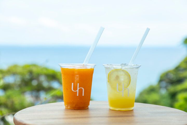 江ノ島の絶景テラスでひとやすみ♪海風が心地よいリゾートカフェ「UMITO café by n.」