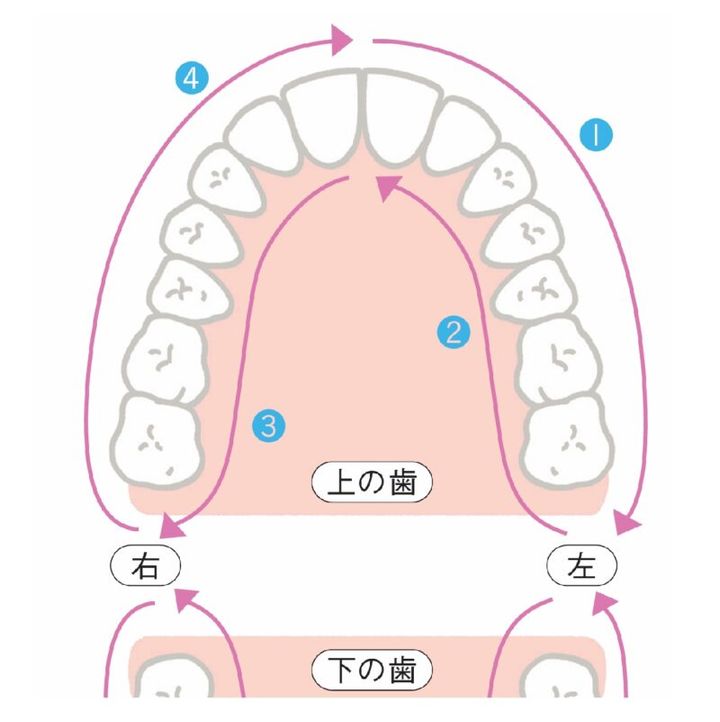 上の歯の歯磨き順番