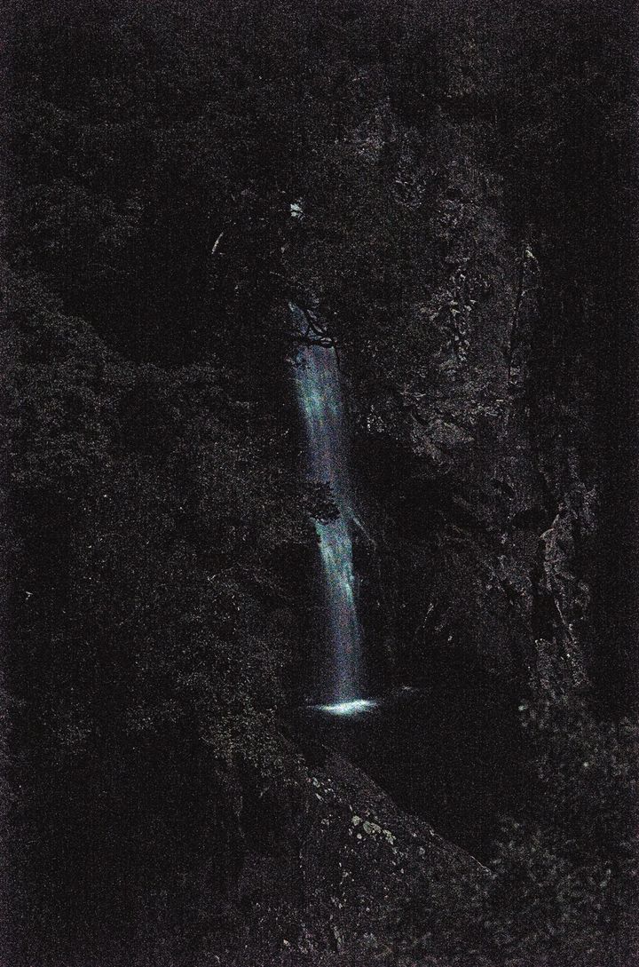 上田義彦《Mater No.10・Yakushima》2021年 ⒸYoshihiko Ueda