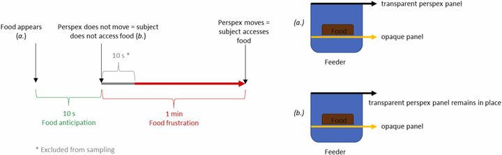 10秒経っても透明パネル（黒色）が取り除かれない。ウマはイライラが溜まる