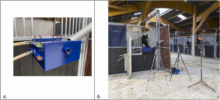 透明パネルと不透明パネルが供えられた特殊な給餌器を使用